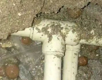 漠河测漏水多少钱