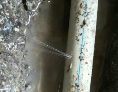 漠河测漏水哪家好