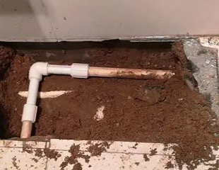 漠河测漏水哪家好