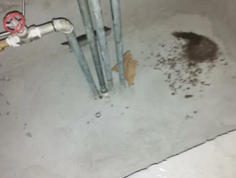 漠河卫生间测漏水价格明细