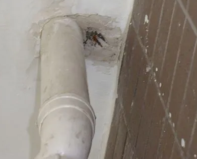 漠河漏水检测哪家好